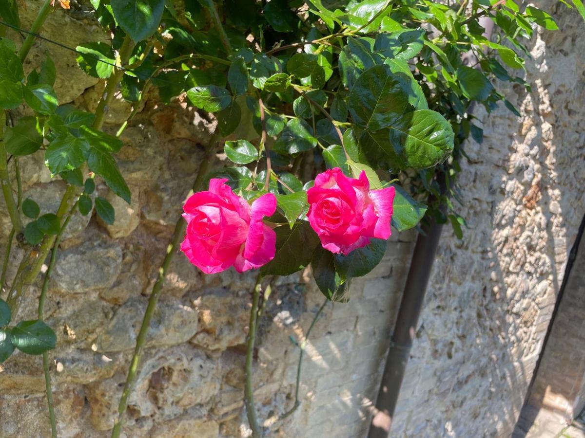 Farm stay Castel Pietraio